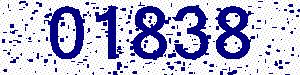 capcha